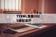 TYXWL发展2025债权资产