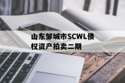 山东邹城市SCWL债权资产拍卖二期