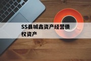 SS县城鑫资产经营债权资产