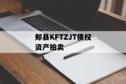郏县KFTZJT债权资产拍卖