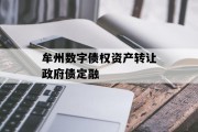 牟州数字债权资产转让政府债定融