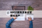 HNSD国有资本运营债权资产