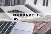 XX开发债权资产01-05