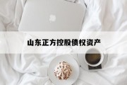山东正方控股债权资产