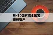 HNSD国有资本运营债权资产