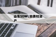 山东SDWL旅债权资产