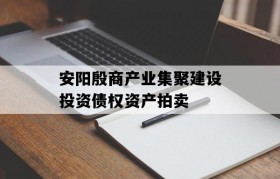安阳殷商产业集聚建设投资债权资产拍卖