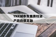YNX城市发展债权资产政府债定融
