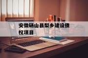 安徽砀山县梨乡建设债权项目