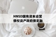HNSD国有资本运营债权资产政府债定融