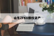 山东ZFKG债权资产