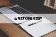 山东ZFKG债权资产
