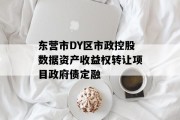 东营市DY区市政控股数据资产收益权转让项目政府债定融