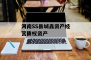 河南SS县城鑫资产经营债权资产