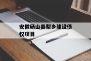 安徽砀山县梨乡建设债权项目
