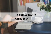 TYXWL发展2025债权资产