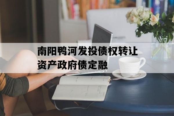 南阳鸭河发投债权转让资产政府债定融