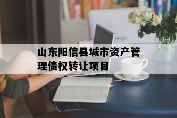 山东阳信县城市资产管理债权转让项目