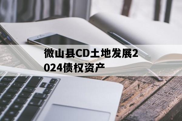 微山县CD土地发展2024债权资产