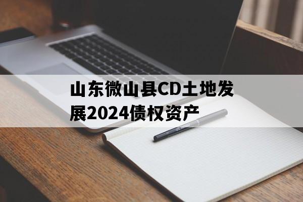 山东微山县CD土地发展2024债权资产