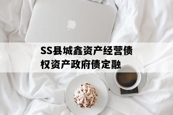SS县城鑫资产经营债权资产政府债定融
