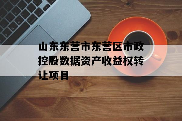 山东东营市东营区市政控股数据资产收益权转让项目