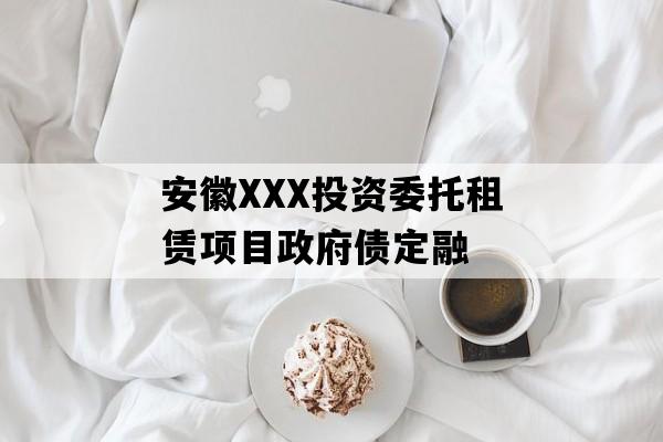 安徽XXX投资委托租赁项目政府债定融