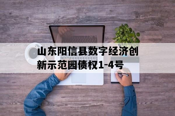 山东阳信县数字经济创新示范园债权1-4号