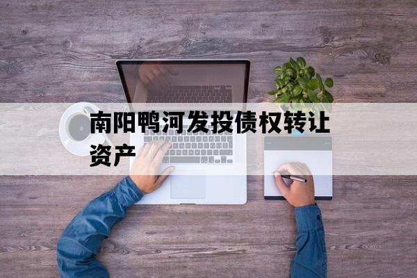 南阳鸭河发投债权转让资产