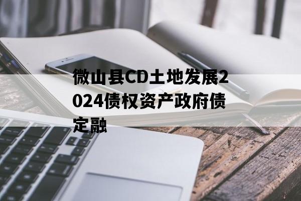 微山县CD土地发展2024债权资产政府债定融