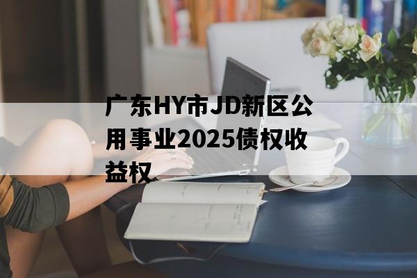 广东HY市JD新区公用事业2025债权收益权