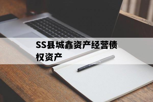 SS县城鑫资产经营债权资产