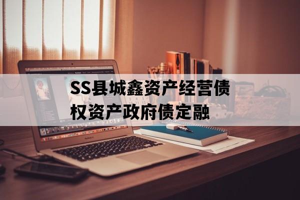 SS县城鑫资产经营债权资产政府债定融