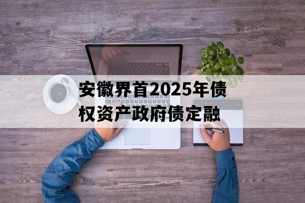 安徽界首2025年债权资产政府债定融