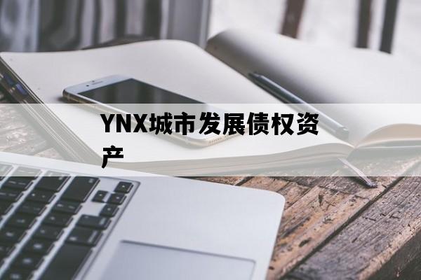 YNX城市发展债权资产