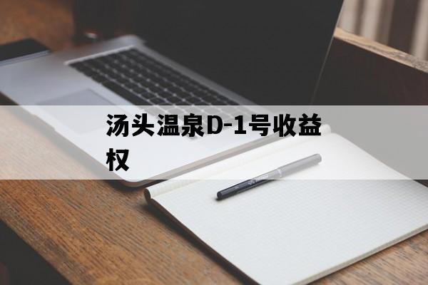汤头温泉D-1号收益权
