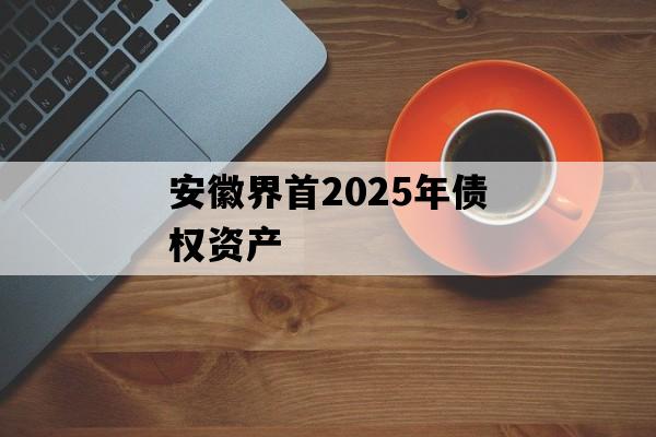 安徽界首2025年债权资产