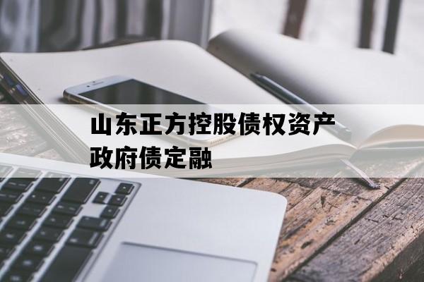 山东正方控股债权资产政府债定融