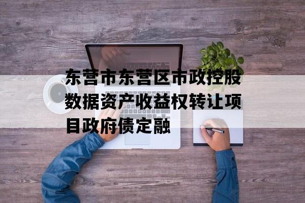 东营市东营区市政控股数据资产收益权转让项目政府债定融