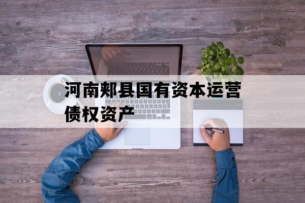 河南郏县国有资本运营债权资产