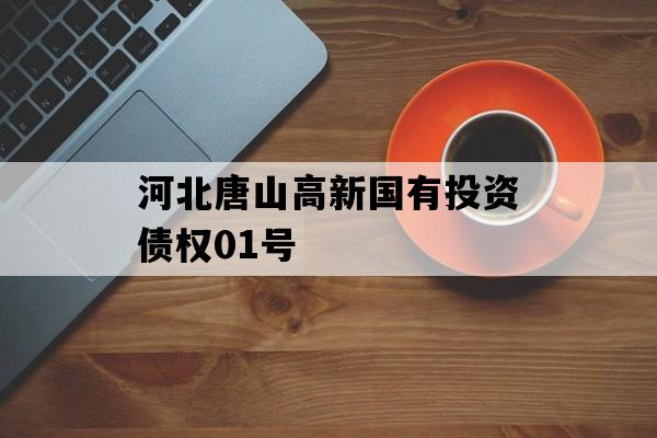 河北唐山高新国有投资债权01号