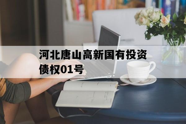 河北唐山高新国有投资债权01号