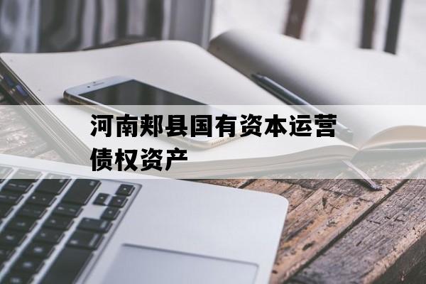 河南郏县国有资本运营债权资产
