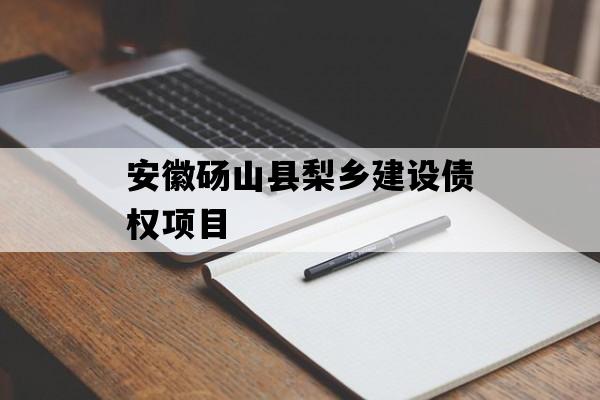 安徽砀山县梨乡建设债权项目