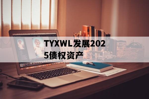 TYXWL发展2025债权资产