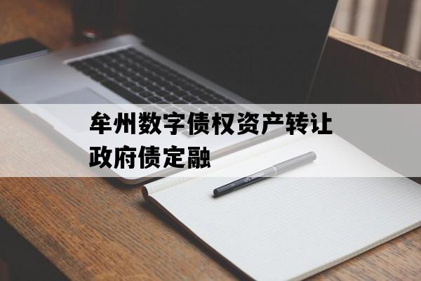 牟州数字债权资产转让政府债定融