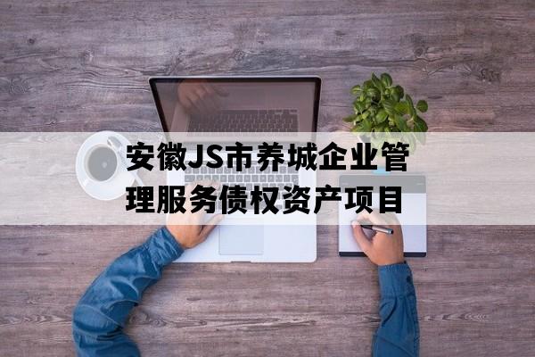 安徽JS市养城企业管理服务债权资产项目
