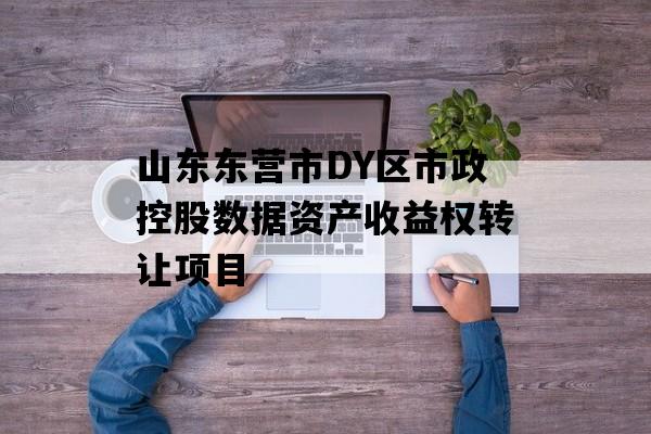 山东东营市DY区市政控股数据资产收益权转让项目