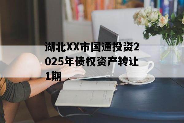 湖北XX市国通投资2025年债权资产转让1期