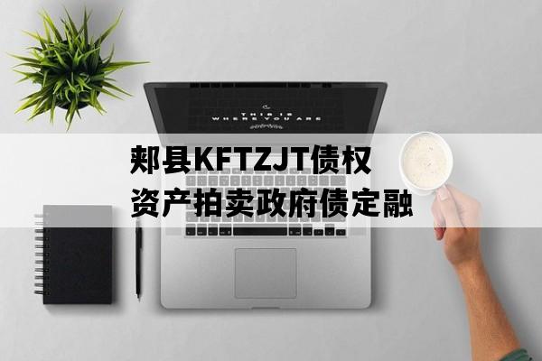 郏县KFTZJT债权资产拍卖政府债定融